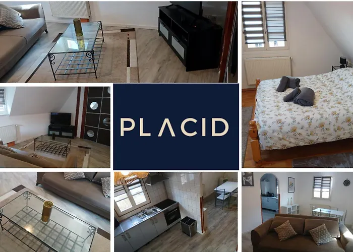 Apartamento L Echappee Belle Elegant Obernai